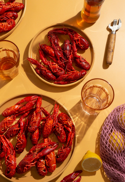 🦞 Why Swedes Call Their Zodiac Sign Kräftan?