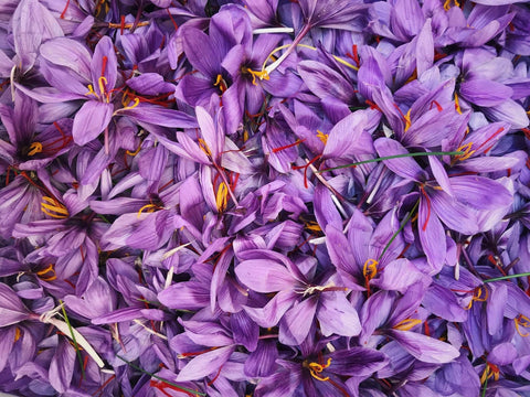 The Magic of Saffron in Scandinavian Festivities ✨