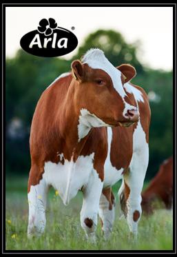 Arla Products