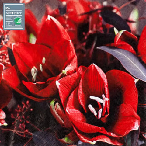 Amaryllis Servett 33 cm - Napkin 33 cm-Swedishness