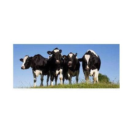 Bregott Normalsaltat - Butter 500g-Swedishness