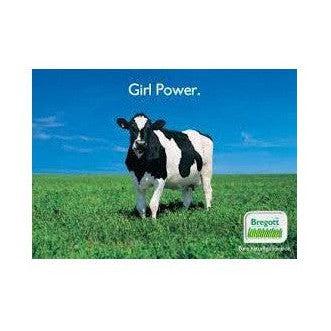 Bregott Normalsaltat - Butter 500g-Swedishness