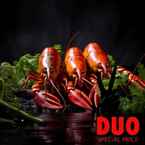 DUO Marcus Kräftan Väderstad Frysta Signalkräftor - Frozen Cooked Swedish Crayfish 500 gr X 2-Swedishness