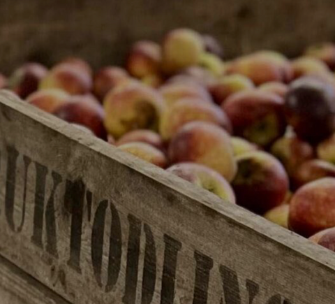 Englamust Kärlek Fanny Äpple - Love Apple Fanny 25 cl-Swedishness