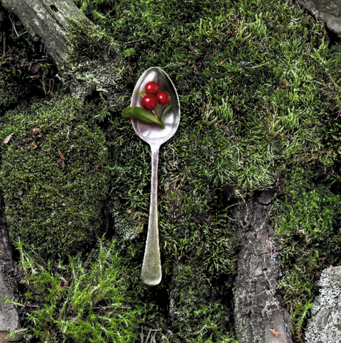 Polarica Ekologiska Kantareller - Frozen Ecological Chantarelles 150g-Swedishness