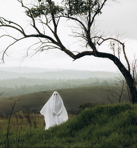 A Ghost Among Ghosts