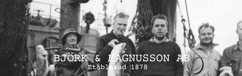 Björk & Magnusson