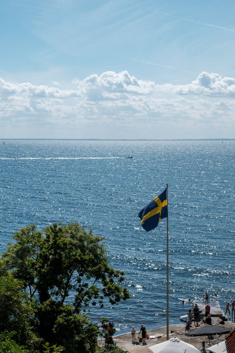 Discover What's New at Swedishness