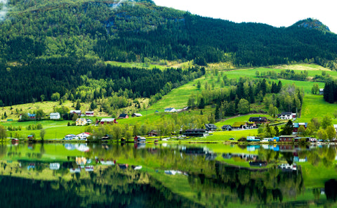 Swedish Spring Food: A Taste of the Season’s First Harvest