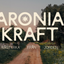 Aronia Kraft - Aronia Drink 30 cl-Swedishness