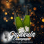 GULDKULA CHAMPAGNE Premier Cru - 2 Bottles 750ml each-Swedishness