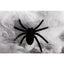 Halloween Spiders - 8 p-Swedishness