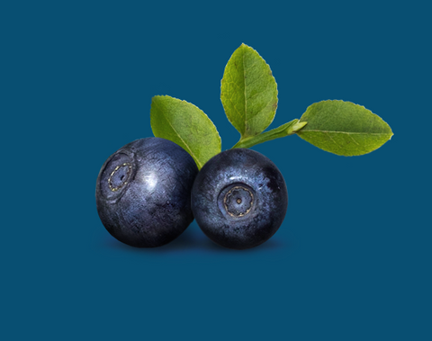 Polarica Svenska Blåbär - Blueberries, Frozen 500g-Swedishness