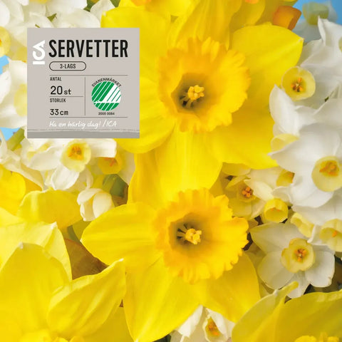Servett 33cm Påskliljor - Napkin 33cm Daffodils 20-p-Swedishness