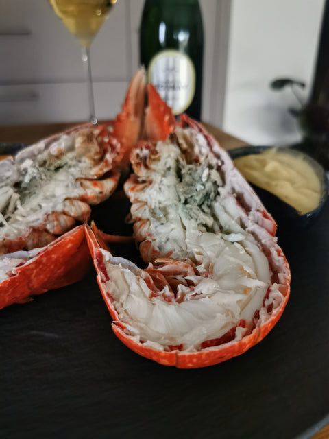 Skotsk Hummer - Fresh Scottish cooked Lobster approx 700 - 800g - EXPRESS-Swedishness