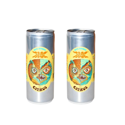 TWOFACE CITRUSSODA - CARBONATED CITRUS SODA - 25 cl X 2-Swedishness